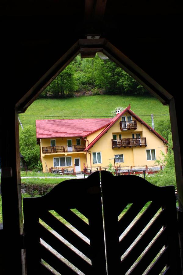 Căsuța de lângă pădure Hotel Moeciu De Sus Exterior foto