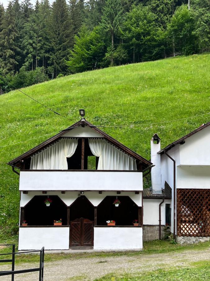 Căsuța de lângă pădure Hotel Moeciu De Sus Exterior foto