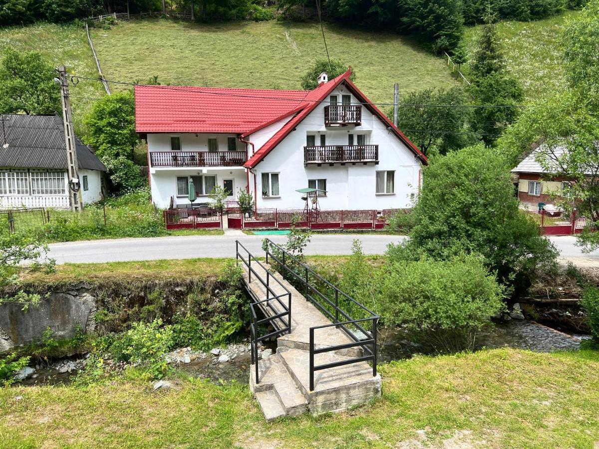 Căsuța de lângă pădure Hotel Moeciu De Sus Exterior foto