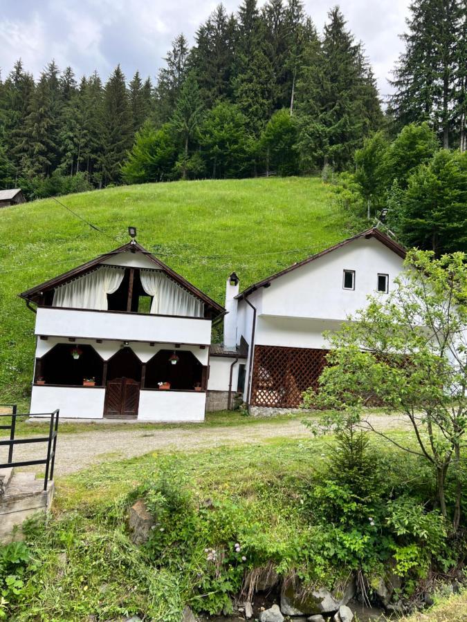 Căsuța de lângă pădure Hotel Moeciu De Sus Exterior foto