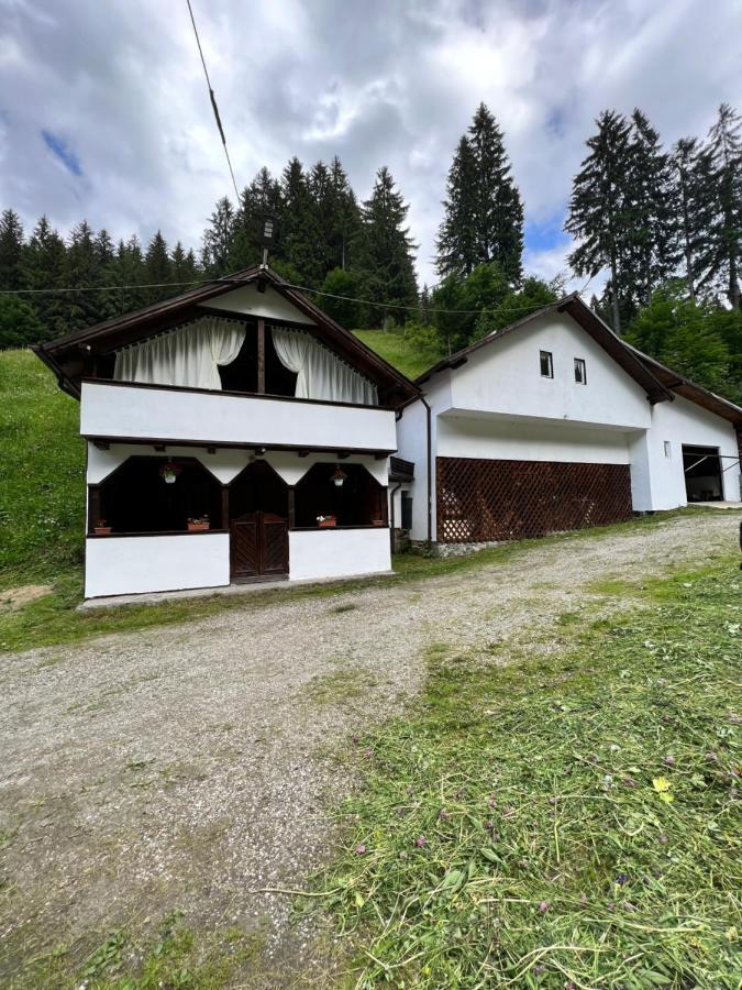 Căsuța de lângă pădure Hotel Moeciu De Sus Exterior foto