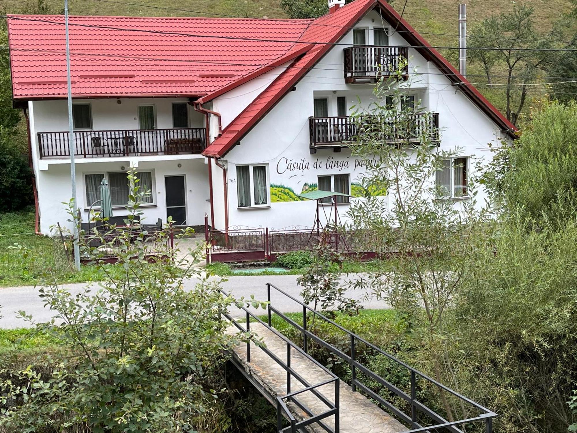 Căsuța de lângă pădure Hotel Moeciu De Sus Exterior foto