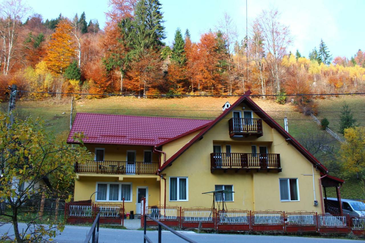 Căsuța de lângă pădure Hotel Moeciu De Sus Exterior foto
