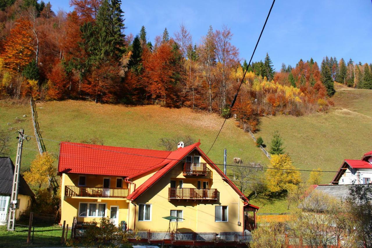 Căsuța de lângă pădure Hotel Moeciu De Sus Exterior foto