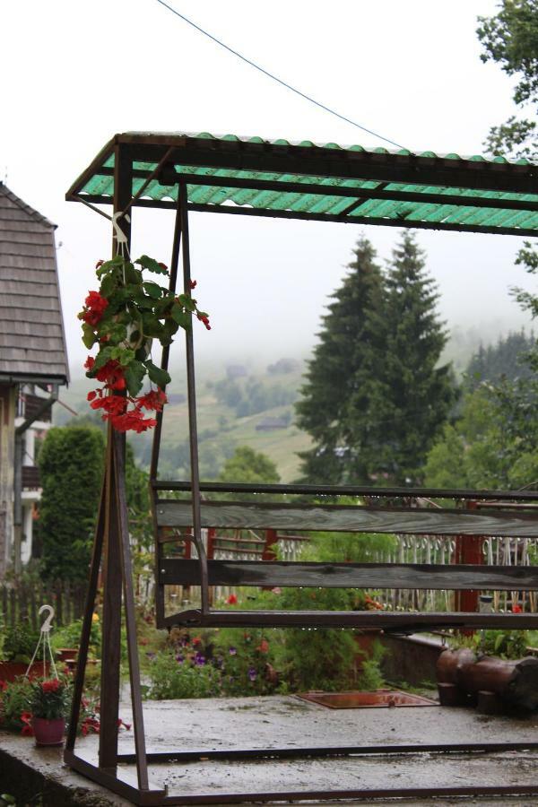 Căsuța de lângă pădure Hotel Moeciu De Sus Exterior foto