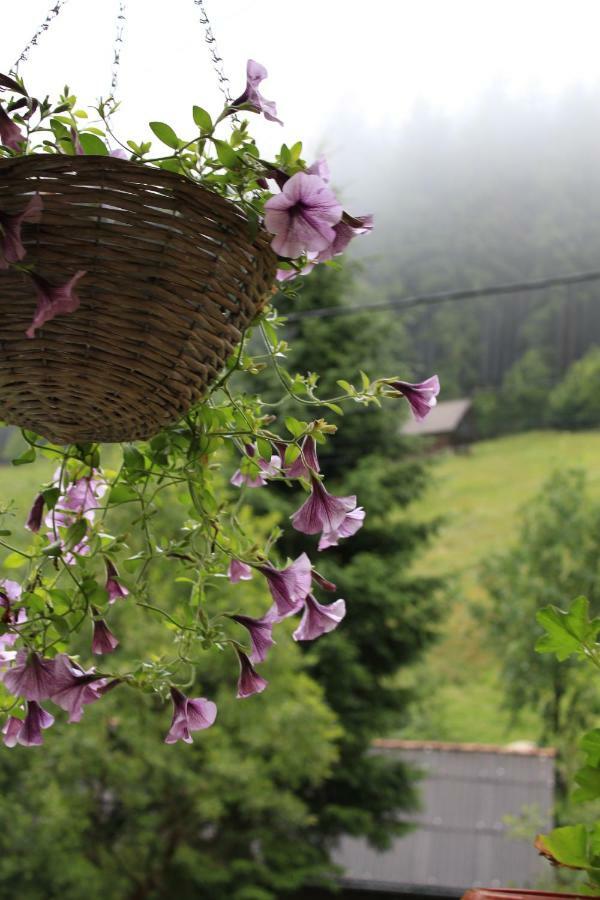 Căsuța de lângă pădure Hotel Moeciu De Sus Exterior foto