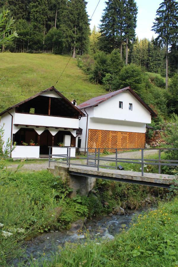 Căsuța de lângă pădure Hotel Moeciu De Sus Exterior foto